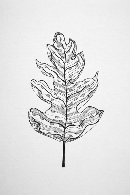 Dessin Feuille en stylo noir