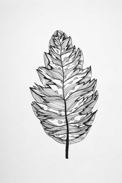 Dessin Feuille en stylo noir
