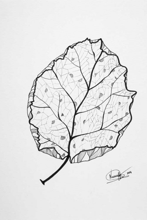 Dessin Feuille en stylo noir